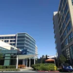 Palo Alto Networks Net Worth