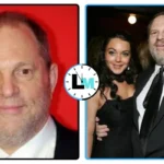 Harvey Weinstein Net Worth